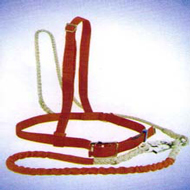 �p���p���U(xi��n)��ȫ��